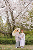 お衣装＆シチュエーションのご紹介❁桜ロケ編