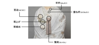 柄小物をご紹介☆