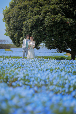 ネモフィラで撮影可能な『海の中道海浜公園』をご紹介❁