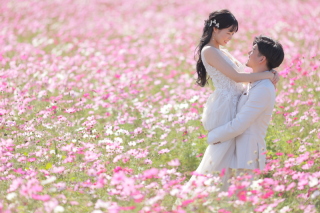 今年のラストのコスモスロケの広告撮影