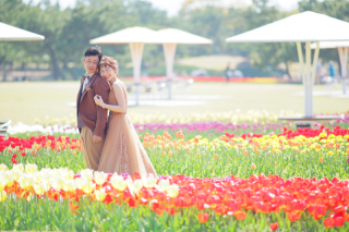 チューリップもキレイでした♪