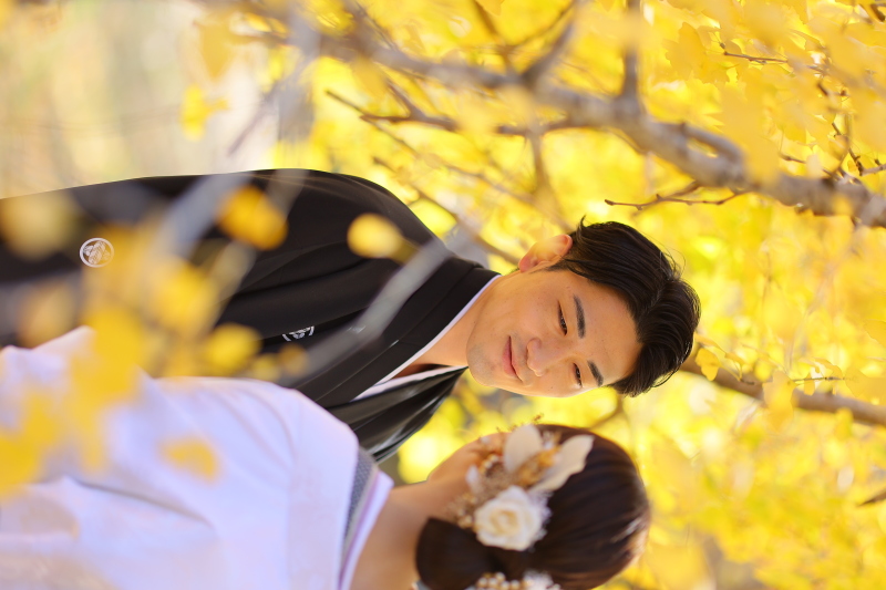 『舞鶴公園』和装ロケ