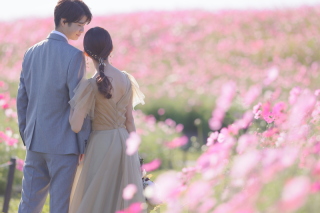 コスモスのロケーション撮影もご予約承ってます♪