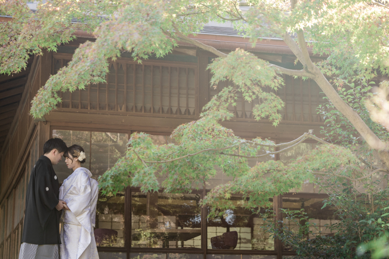 冬の光に、凛と映える和。