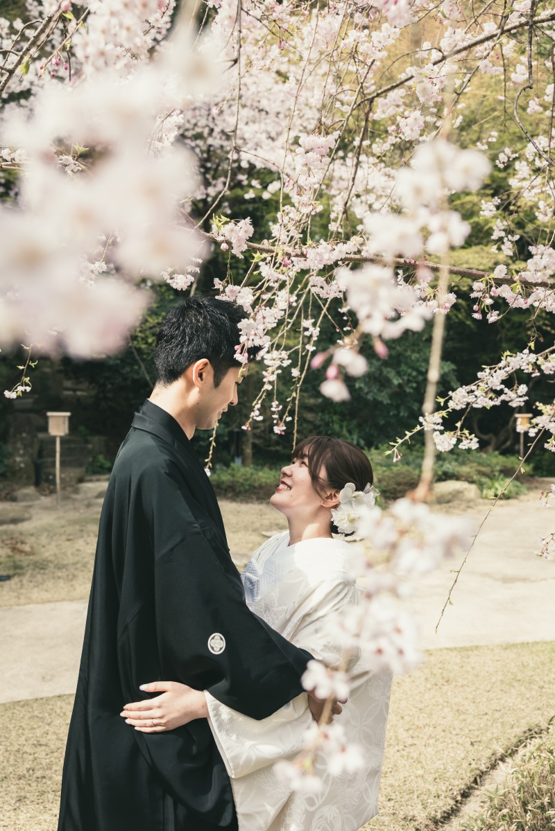  高宮庭園茶寮　桜のシャワー