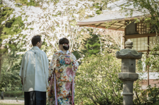 高宮庭園茶寮　桜プラン