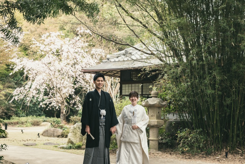  高宮庭園茶寮　桜のシャワー