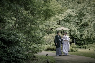 高宮庭園茶寮　芽吹き