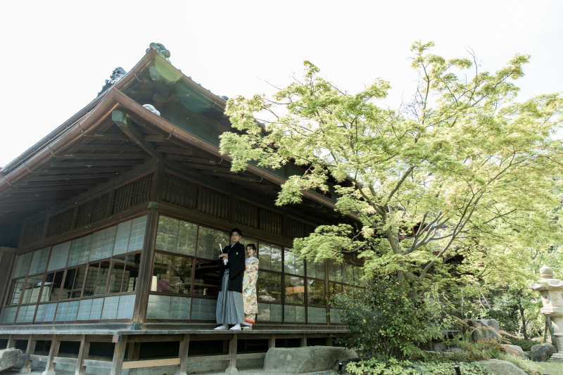 高宮庭園茶寮　新緑の美しさ