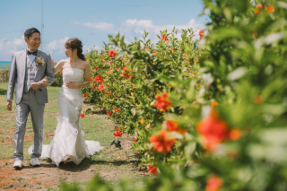 ＊大人気！BERELオープニングムービーのご案内＊