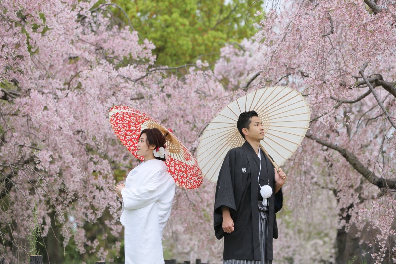 桜ロケーション撮影スポットご紹介