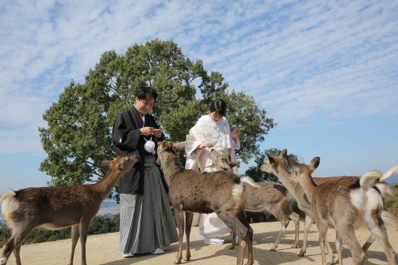 若草山でロケーション撮影