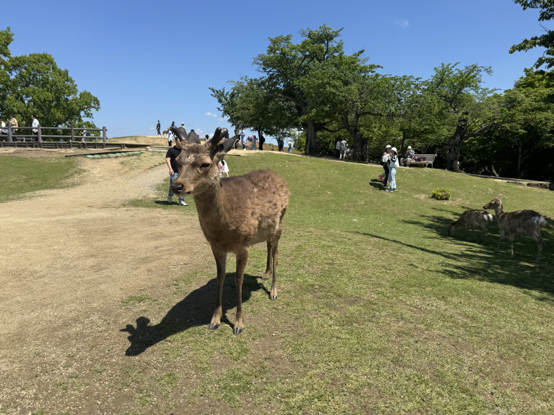 良い天気が続いています♡