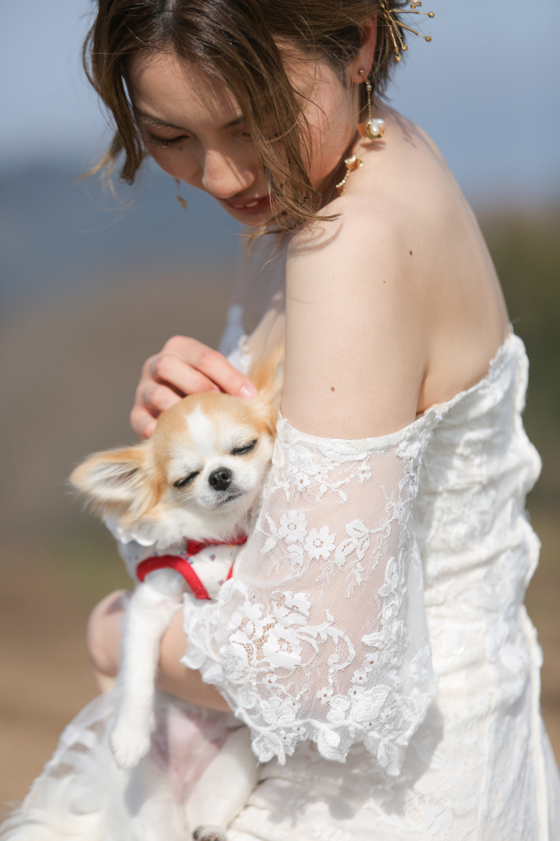 愛犬たちと一緒にウェディングフォト
