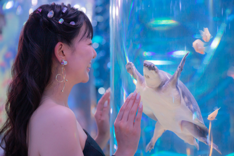 光の遊園地で幻想的な前撮り