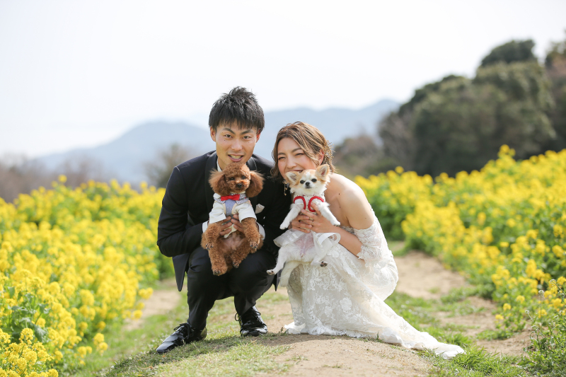 愛犬たちと一緒にウェディングフォト