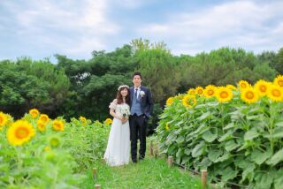 ひまわりと一緒に夏のお出かけ♪