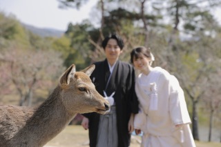 鹿と一緒に♪