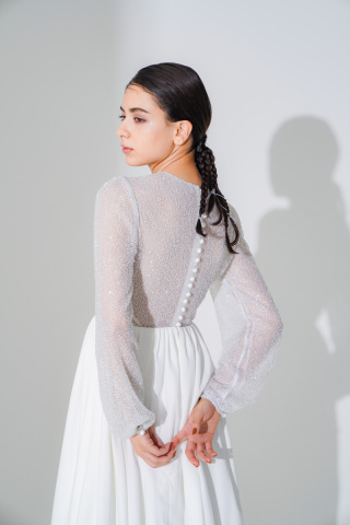 袖ありドレス˚✧₊⁎