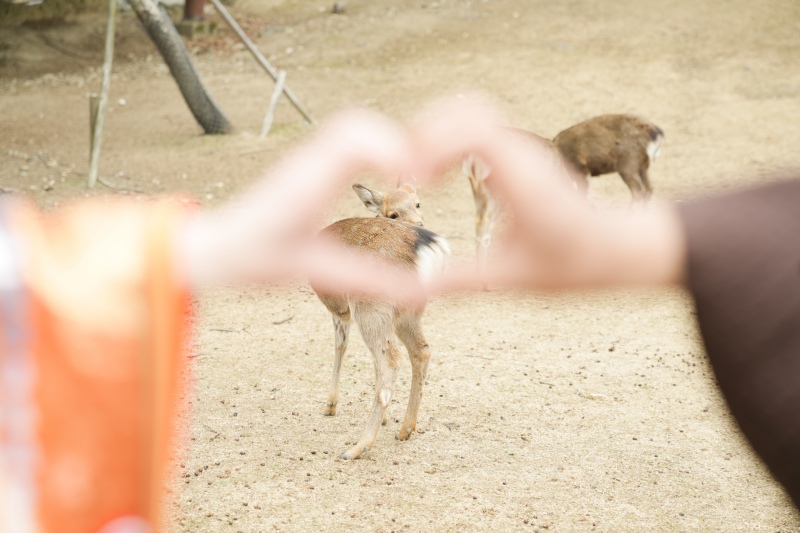 和装ロケーション撮影♪