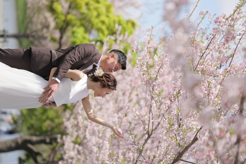 桜ロケーション撮影スポットご紹介