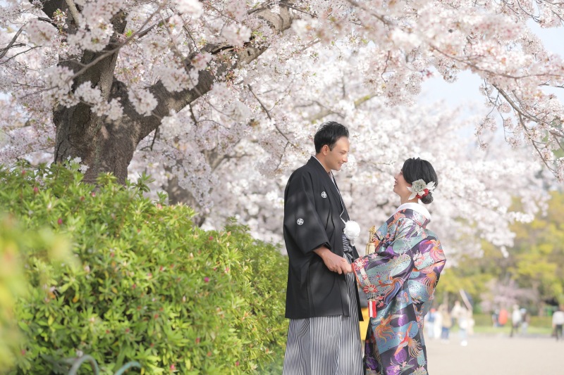桜ロケーション撮影スポットご紹介