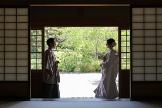 葉っぱがイキイキしている季節です