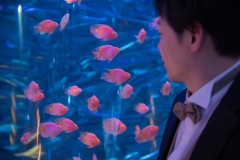 光の遊園地で幻想的な前撮り