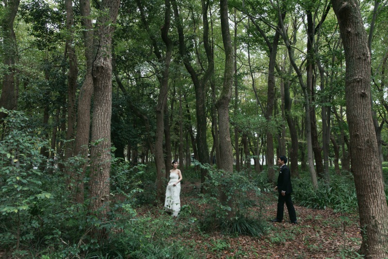 緑の洋装ロケーション