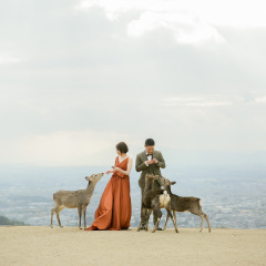 冬の若草山撮影