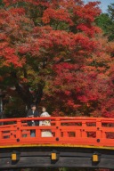 紅葉の時期が近づいてきました♪