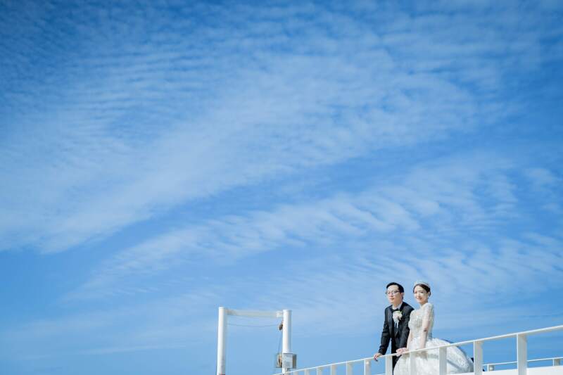 見逃すな！春にちなんだ限定プランも販売中！