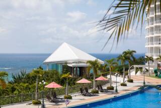 4月はフォトシーズン