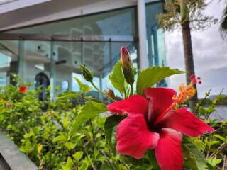 まだまだ夏日より♬