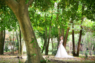 【ロケーション】柔らかな光の森で撮影：群馬の森【撮影地】