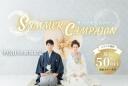 8-9月撮影【特典利用で最大50%OFF】2023スタジオサマーキャンペーン