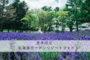 【夏季限定】北海道ガーデンリゾートフォト~札幌ラベンダーフォト~