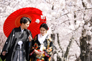 桜バックのフォトウェディング→早期予約のメリットとは？？