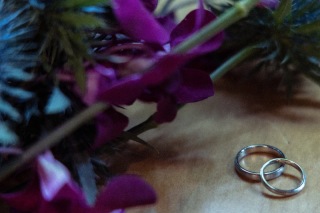 寒の戻りならぬ暑の戻り