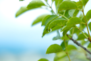 安心安全！な撮影を(^^)