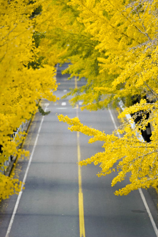 猿にまつわる…?