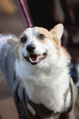 晴れの日は家族と共に