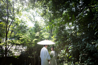 白と緑でまとまりを