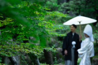 夏だ！花火だ！お祭りだ！