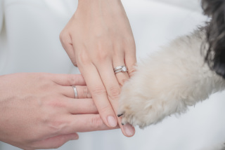 「イメージショット」にも想いをつめ込んで!