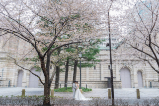 桜撮影のおすすめを教えます٩( 'ω' )و