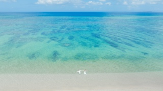 【オプション紹介part2】豊富なオプションも強みなのです!