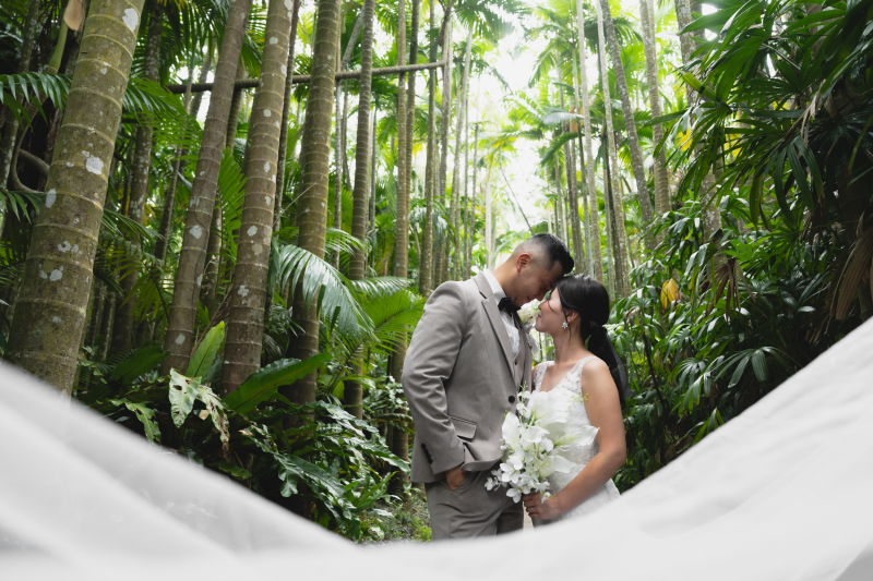 【沖縄本島の素敵な花について】沖縄ならではの植物をご紹介します♬