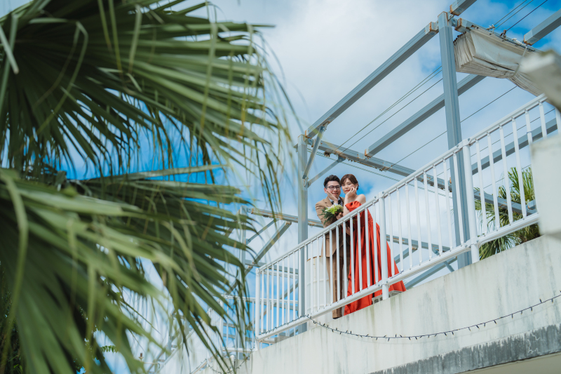 【沖縄本島の素敵な花について】沖縄ならではの植物をご紹介します♬