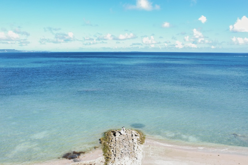 【沖縄本島のソウルフード②】沖縄でのごはんお悩み中の方！ぜひご覧ください！